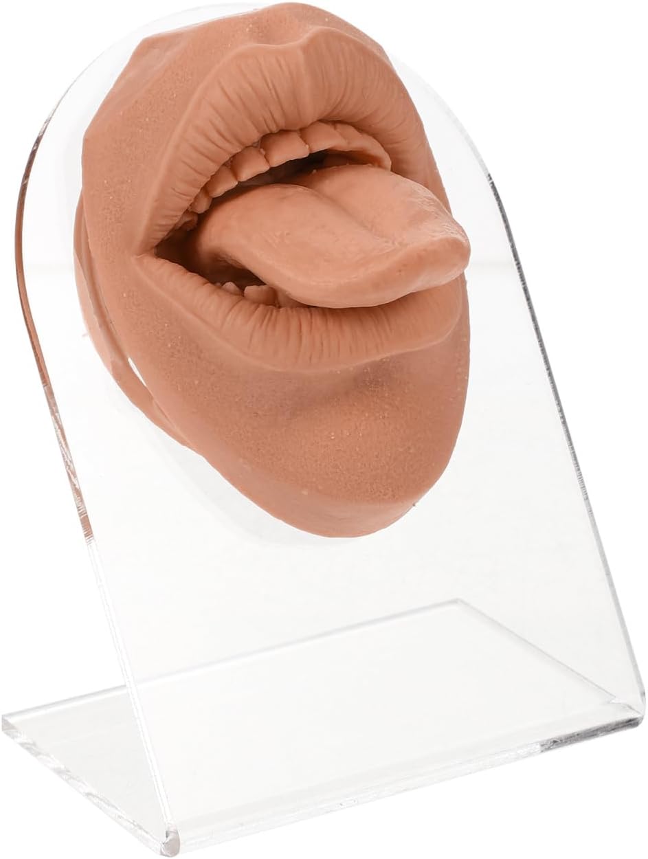 FRCOLOR Simulated Silicone Mouth Model with Stand Flexible Tongue Piercing Practice Body Part Realistic Face Mannequin for Piercing Training, Jewelry Display & Teaching Supplies