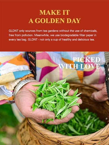 GLDNT Organic Pu-erh Tea Bags, Fermented Yunnan Dark Tea, Bold & Mellow Flavor, Caffeinated, 100 Count
