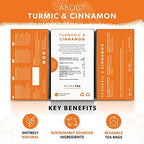 Nutra Tea Turmeric & Cinnamon Tea | Turmeric Tea - 120 Individually Wrapped Bags - Herbal Infusion (6 Pack)
