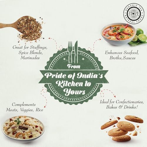 Pride of India – Fennel Seed Whole – Gourmet Spice – Fresh & Aromatic – Mouth Freshener – GMO/Gluten Free – Flavoring for bakes, meat & more – Easy to Use – 7 oz. Medium Dual Sifter Jar