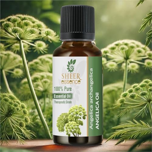 Angelica Oil(Angelica Archangelica) 100% Natural Pure Uncut Essential Oil 0.16 Fl.Oz