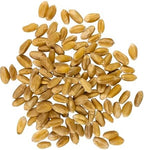 Palouse Brand Certified Glyphosate Residue Free Hard White Wheat Berries | 5 LBS | Non-GMO Project Verified | Kosher