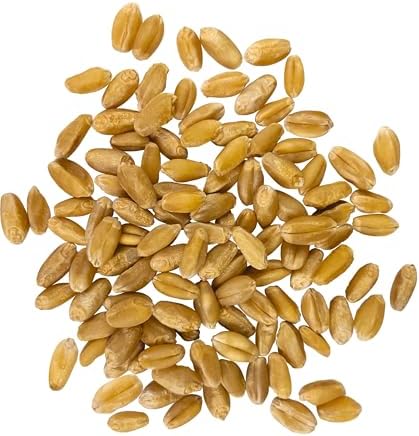 Palouse Brand Certified Glyphosate Residue Free Hard White Wheat Berries | 5 LBS | Non-GMO Project Verified | Kosher