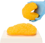 Human Body Fat Replica, 1 lb Fat Anatomy Model for Anatomy Class Display, Stay Healthy, Weight Loss Motivation Reminder