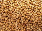 Coriander Seeds, 16 Oz, 100% Certified Organic, Raw, Non-GMO, Non-Irradiated