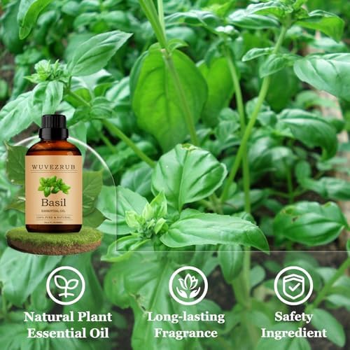 Basil Essential Oils 60ML, Pure Basil Essential Oil for Aromatherapy Diffuser - 2 Fl Oz