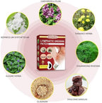 24Pcs/Box Herbal Lymph Nodes Patch,Lymphatic Drainage Patch/Patches,Herbal Lymphatic Drainage Care Patch,Neck Lymph Nodes Patch, Lymphatic Massage for Men and Women