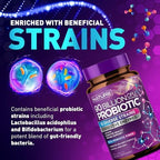 100 Billion CFU Probiotic - Daily Digestive Gut Health Supplement for Men & Women - Lactobacillus acidophilus, Bifidobacterium & Prebiotics - Non-GMO, Gluten & Dairy Free, Shelf-Stable - 60 Capsules