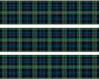 Green Plaid Birthday - D24692 - Side Strip - 2D Edible Cake Party Topper