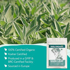 Organic Sage Leaves (4 oz.) - Sage Tea Loose Leaf (Salvia officinalis) – Salvia Tea for Mind & Body Wellness - Focus and Clarity