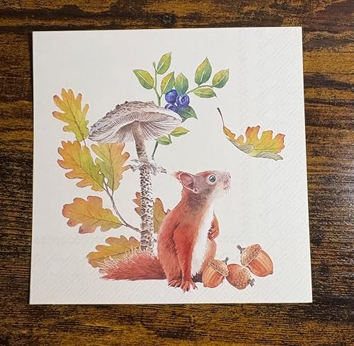 IHR Ideal Home Range Cocktail Napkins Disposable 3-Ply Paper Party Napkin Pack, 5" x 5", Fall Squirrel, 20-Count