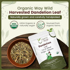 Organic Way Dandelion Leaf (Taraxacum Officinale) Cut & Sifted - Herbal Tea | European Wild-Harvest | Kosher & USDA Certified | Vegan, Non-GMO & Gluten Free | 100% Raw from Albania (1/4LBS / 4Oz.)