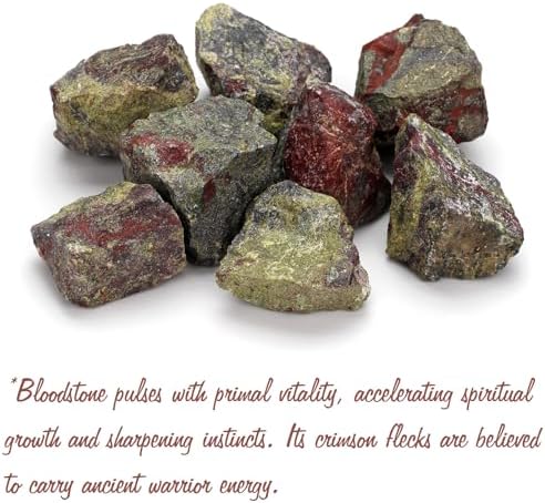 GolbalJew Bloodstone Natural Raw Crystals 2PCS Healing Crystal Stones 1.2-2.0” Reiki Healing Gemstones for Meditation Chakra Balance Home Decor