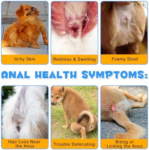 Anal Gland Support Powder for Dogs – Pumpkin, Probiotics & Digestive Enzymes – Fiber Supplement for Digestive Health – Beef Flavor – 4.23 oz