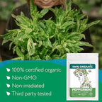 Organic Peppermint Tea Bags (40 TeaBags) - Peppermint Tea Organic - Te de Menta Organico Natural - Herbal Tea for Energy, Digestion, Nausea, Motion Sickness, Respiratory Support, Stress Relief