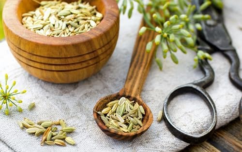 Organic Fennel Seeds - 1.5 lbs - Whole Seeds - 100% Certified Organic - Non-Irradiated - Gluten-Free - Non-GMO - EarthWise Aromatics