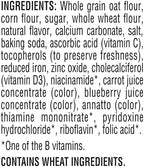 Quaker Mighty Life Multigrain Cereal, Strawberry Blueberry Bliss, Immunity Support, 22.3 Oz Family Size