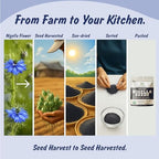 Spice Profile USDA Organic Nigella Seeds, Lab Tested for Heavy Metals, Resealable 4 oz Pouch, Kalonji, Semillas de Nigella