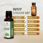 Mugwort Oil (Artemisia Vulgaris) Essential Oil 100% Pure Natural Undiluted Uncut Therapeutic Grade Oil 0.16 Fl.OZ