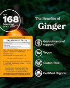 USDA Organic Ginger Root Extract*: Digestion & Circulatory Support | Ginger Tincture for Occasional Nausea | Non-Bitter Vegan Digestive Supplement | 4 Oz, Up to 3 Months Supply