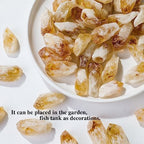 Apengshi 1/2 lb(230g) Natural Citrine Crystal Points Irregular Rough Crystal Stone Raw Crystal Gemstones Bulk Chakra Stones Meditation Reiki Collect Handmade DIY