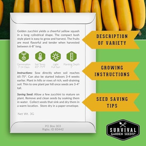 Golden Zucchini Seeds for Planting - Plant & Grow Yellow Zucchini Vegetables in Your Home Vegetable Garden - Non-GMO Heirloom Variety - Survival Garden Seeds (1 Pack)