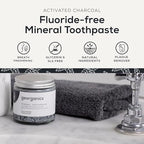 Georganics Mineral Toothpaste – Activated Charcoal Non-Foaming Toothpaste – 4.2 oz - Powdered - With Coconut Oil to Support Gum Health