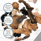 Roland Foods Dried Mixed Wild Mushrooms Specialty Imported Food ,16 Ounce (Pack of 1)