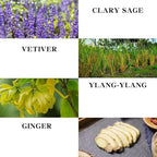 Ginger Massage Oil for Relaxing Muscles Massage Oil for Massage Body Oil for Skin Moisturizing for Men and Women 8.8 oz