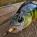 Waxworms & Fake Maggots – Realistic Soft Fishing Lures for Crappie, Trout, Panfish, Bluegill & Perch – Artificial Worms for 1/64–1/80 oz Jig Heads or Floats (50 Pack)