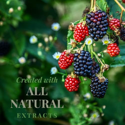 Hip Syrups - Blackberry Sugar Free Simple Syrup Designed for Water Flavor, Bubble Tea, Boba Tea, Cocktails,Blackberry Flavoring, Water Enhancer, Drink Mix for Ice Tea, Lemonade & More, Zero Calorie Flavoring, Keto Friendly, Sugar Free