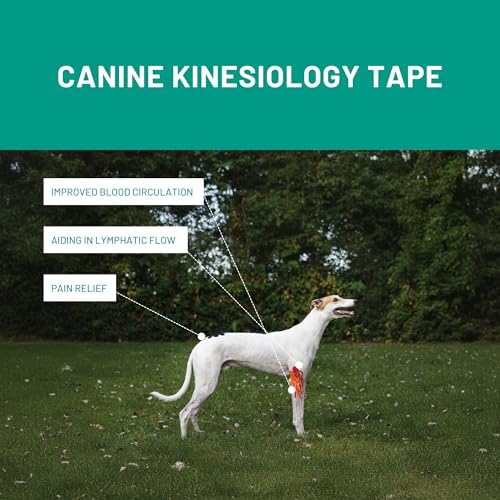 VetkinTape® Veterinary Kinesiology Tape | Tape for Horses & Dogs | Equine & Canine Kinesiotape | Latex Free and Quality Mark Certified Ktape | 1.2 inch | Pack of 2 Rolls (Black)