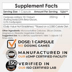Nootropics Depot Cordyceps Mushroom Capsules |10:1 Whole Fruiting Body Extract | 250mg | 180 Count | Cordyceps militaris