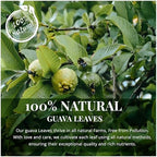 2.6oz Hoja De Guayaba, Dried Guava Leaf, 100+ Natural Guava Leaves, Aromatic Tea, Caffeine free, No Additives, Non GMO. By Akshit