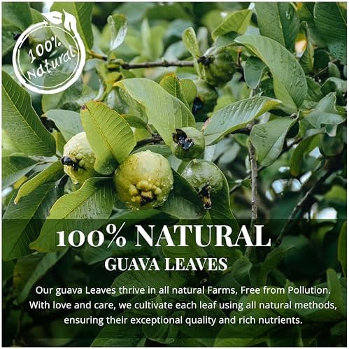 2.6oz Hoja De Guayaba, Dried Guava Leaf, 100+ Natural Guava Leaves, Aromatic Tea, Caffeine free, No Additives, Non GMO. By Akshit
