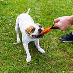 Bull Fit K9 Dog Bite Tug Toy with Strong Handle - Made of Durable & Tear-Resistant French Linen - Perfect for Tug of War, Fetch & Puppy Training - Ideal for Medium to Large Breeds