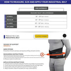 CHAMPION Industrial Belt Back Brace Abdominal Support, Black, Regular