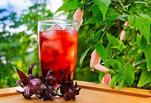 Sorrel Hibiscus Drink Concentrate 750ml – Caribbean Hibiscus Syrup, Sorrel Drink Mix, Hibiscus Juice Concentrate, Karkade Roselle Syrup, Cocktail Mixer, Mocktail Mixer, Vitamin C Rich Tropical Beverage Syrup