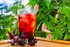 Sorrel Hibiscus Drink Concentrate 750ml – Caribbean Hibiscus Syrup, Sorrel Drink Mix, Hibiscus Juice Concentrate, Karkade Roselle Syrup, Cocktail Mixer, Mocktail Mixer, Vitamin C Rich Tropical Beverage Syrup