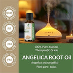 Angelica Root Oil (Angelica Archangelica) Essential Oil 100% Pure Natural Undiluted Uncut Therapeutic Grade Oil 8.45 Fl.OZ