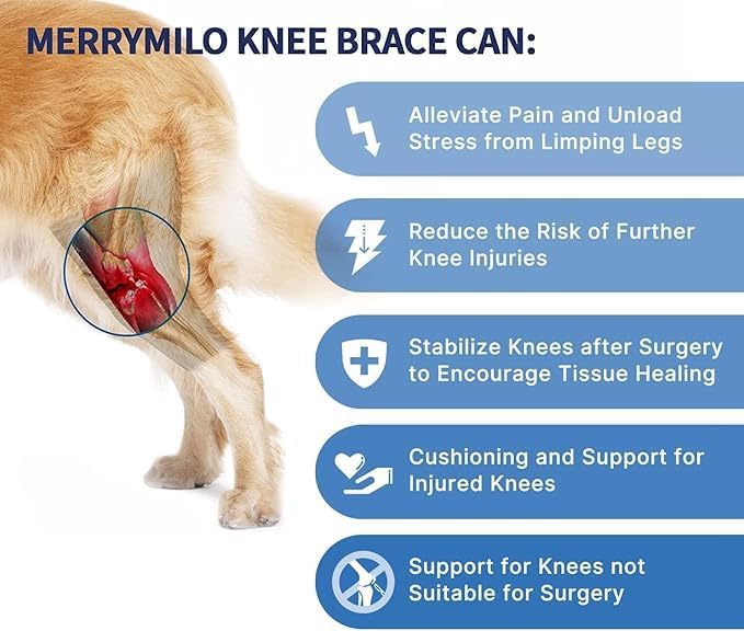 Dog Knee Brace for Torn ACL & Hind Leg Support – Adjustable Dog Hip & Leg Brace for Cruciate Ligament, Arthritis Relief, Joint Stability & Injury Recovery, Size: S