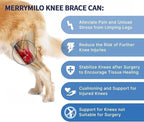 Dog Knee Brace for Torn ACL & Hind Leg Support – Adjustable Dog Hip & Leg Brace for Cruciate Ligament, Arthritis Relief, Joint Stability & Injury Recovery, Size: S