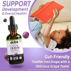 Iron Supplement for Toddlers & Kids - Organic Liquid Iron Drops for Kids, Toddler, Baby, Infant, Toddlers Supplements Ages 1-3 - Organic Vegan Toddler Liquid Drops Supplement, Gluten Free, Non-GMO 2oz