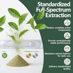 Green Tea Extract 450MG, High-Potency 50% EGCG (Standardized), 98% Polyphenols & 80% Catechins, Antioxidant & Metabolic Support, Naturally Low in Caffeine, Non-GMO, Made in USA, 90 Capsules