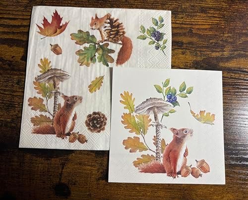 IHR Ideal Home Range Cocktail Napkins Disposable 3-Ply Paper Party Napkin Pack, 5" x 5", Fall Squirrel, 20-Count