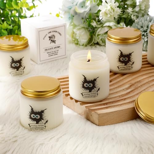 Conelist 6 Set Cat Lover Gifts for Women Employee Appreciation Gifts Funny Black Cat Scented Candles It's Fine Everything is Fine Inspirational 3.5 oz Soy Wax Jar Candles Gift for Teacher Coworker