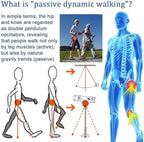 Stroke/Hemiplegia Rehab Trainer,Power Walking Aid,3 Level Adjustable Support,Lightweight and Easy to Wear for Adults and Elderly(Small)