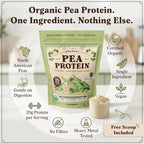 Seedboy Organic Pea Protein Powder Unflavored, 1 lb, 20g Plant-Based Protein, USA Processed & USA/Canada Grown, Vegan, Dairy-Free, Soy-Free, Gluten-Free, Glyphosate-Free, Unsweetened
