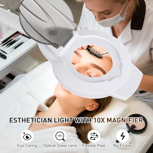 10X Magnifier Esthetician Light, 2500 Lumens, Flexible Gooseneck, Stepless Dimmable, LED Lighted Standing Mag Lamp for Eyelash Extensions,Tattoo, Crafts, Nail Art, Lash & Facials