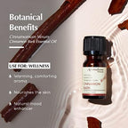 AROMAFUME Cinnamon Bark Essential Oil - 100% Natural, Therapeutic Grade Essential Oils - Pure, Comforting Aromatherapy Oil for Home Diffusers - Gifts for Her - 10ml
